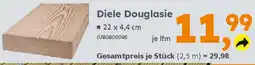 Globus Baumarkt Diele Douglasie Angebot