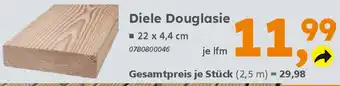 Globus Baumarkt Diele Douglasie Angebot