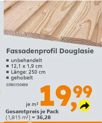 Globus Baumarkt Fassadenprofil Douglasie Angebot