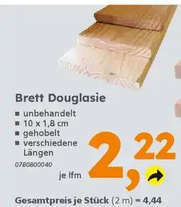 Globus Baumarkt Brett Douglasie Angebot