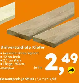 Globus Baumarkt Universaldiele Kiefer Angebot