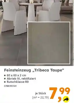 Globus Baumarkt Feinsteinzeug „Tribeca Taupe" Angebot