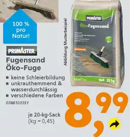 Globus Baumarkt PRIMASTER Fugensand Öko-Fuge Angebot