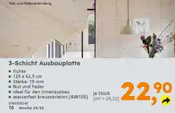 Globus Baumarkt 3-Schicht Ausbauplatte Angebot