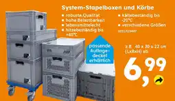 Globus Baumarkt System-Stapelboxen und Körbe Angebot