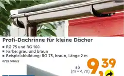 Globus Baumarkt Profi-Dachrinne für kleine Dächer Angebot