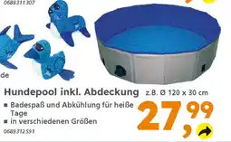 Globus Baumarkt Hundepool inkl. Abdeckung z.B. Ø 120 x 30 cm Angebot