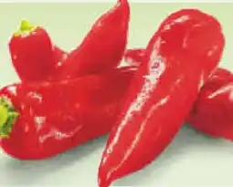 Netto Marken-Discount MarktTag Rote Spitzpaprika Angebot