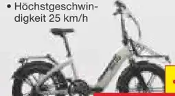 Netto Marken-Discount Blaupunkt E-Fat-Cargo Bike Enno 20 faltbar Angebot