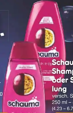Netto Marken-Discount Schwarzkopf Schauma Shampoo Fresh it Up! Angebot