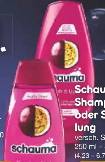 Netto Marken-Discount Schwarzkopf Schauma Shampoo Fresh it Up! Angebot