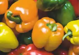 Netto Marken-Discount MarktTag Paprika-Mix Angebot