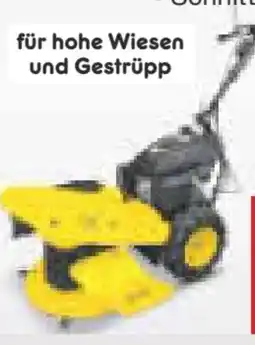 Netto Marken-Discount Bamato Hochgrasschneider Angebot