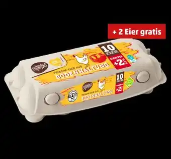 PENNY Columbus Eier aus Bodenhaltung Angebot