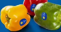 Lidl Paprika Mix Angebot