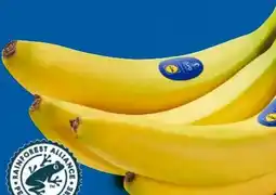 Lidl Bananen Angebot