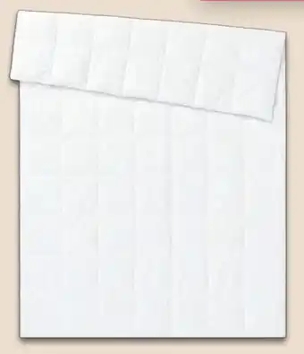 Lidl Livarno Home Sommer-Luxus-Daunendecke Angebot