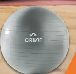 Lidl Crivit Soft-Gymnastikball Angebot