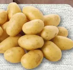 nahkauf Rewe Beste Wahl Speisekartoffeln Die Feinen Angebot