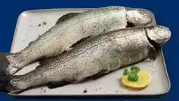 Lidl Fischerstolz Regenbogenforelle Angebot