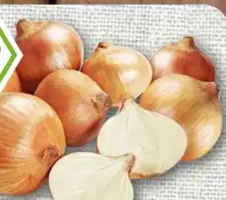 nahkauf Rewe Bio Bio-Speisezwiebeln Angebot