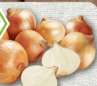 nahkauf Rewe Bio Bio-Speisezwiebeln Angebot