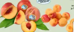 Edeka Xpress SanLucar Nektarine Angebot