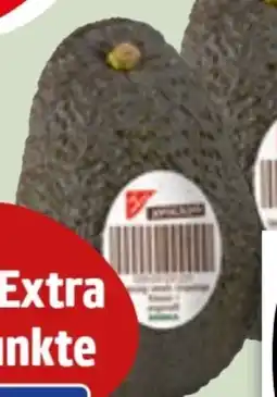 Edeka Xpress Gut & Günstig Avocado Hass Angebot