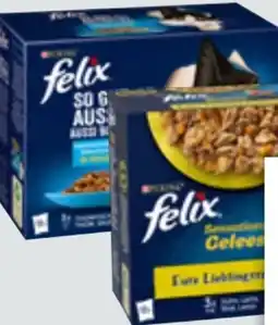 Edeka Xpress Purina Felix Katzennahrung Angebot