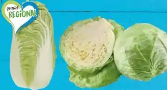 E-Center Weißkraut Angebot