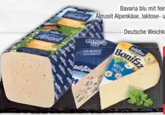E-Center Bergader Bonifaz Angebot