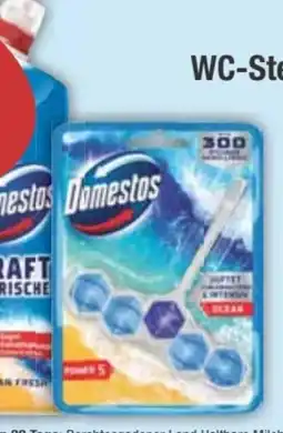 E-Center Domestos WC-Stein Angebot
