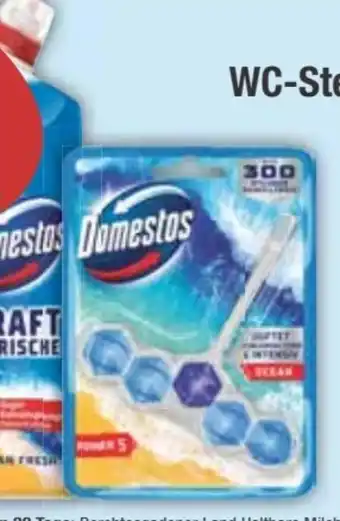 E-Center Domestos WC-Stein Angebot