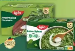 E-Center Iglo Spinat Angebot