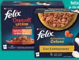 E-Center Purina Felix Katzennahrung Angebot