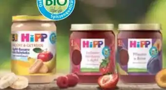 E-Center HiPP Bio Fruchtbrei Angebot