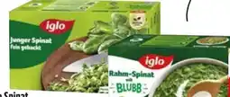 Edeka Iglo Junger Spinat Angebot