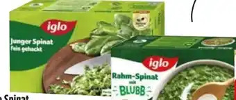 Edeka Iglo Junger Spinat Angebot