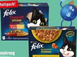 Edeka Purina Felix Katzennahrung Angebot