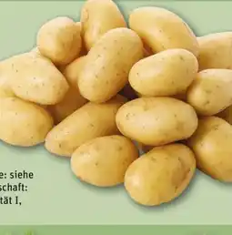 REWE Center Rewe Beste Wahl Speisekartoffeln Die Feinen Angebot