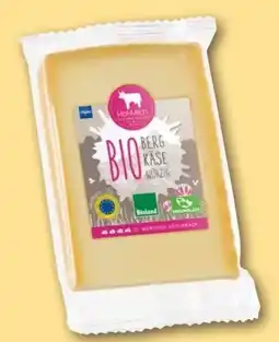 REWE Center Hof-Milch Allgäuer Bio Bergkäse Angebot