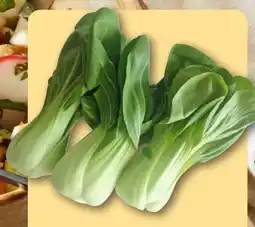 REWE Center Rewe Regional Pakchoi Angebot