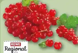 REWE Center Rewe Regional Johannisbeeren Angebot