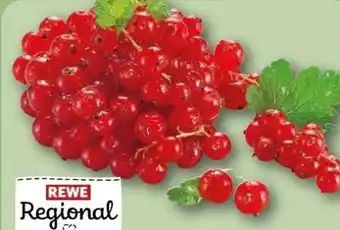 REWE Center Rewe Regional Johannisbeeren Angebot