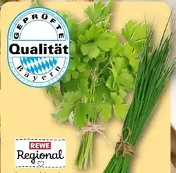 REWE Center Rewe Regional Kräuter Schnittlauch Angebot