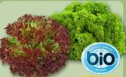 REWE Center Rewe Bio Bunte Salate Angebot