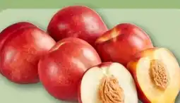 REWE Nektarinen gelbfleischig Angebot