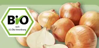 REWE Rewe Bio Bio-Speisezwiebeln Angebot