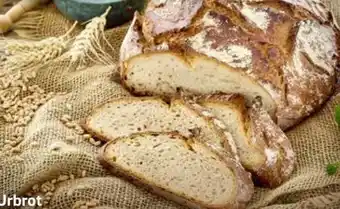 Edeka Edeka Bäckerei Urbrot Angebot