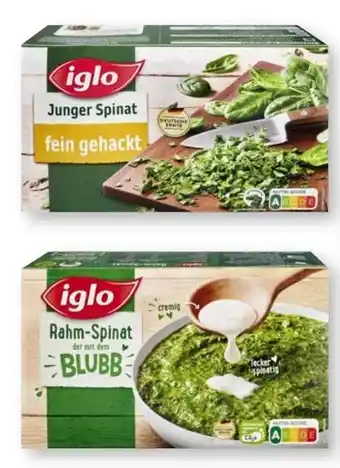 Scheck-in-Center Iglo Spinat Angebot
